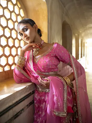 Lehenga, Campaign Shoot photography by CPH Studio, photograph 6