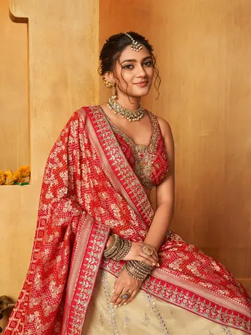 Lehenga, Set Shoot photography by CPH Studio, photograph 72