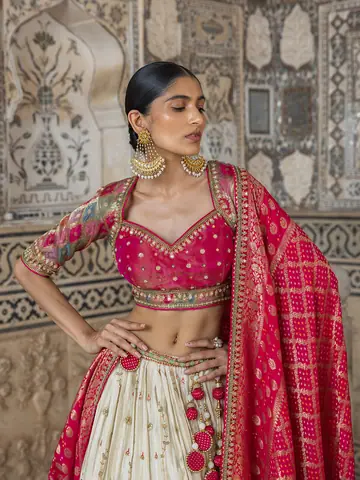 Lehenga, Campaign Shoot photography by CPH Studio, photograph 39