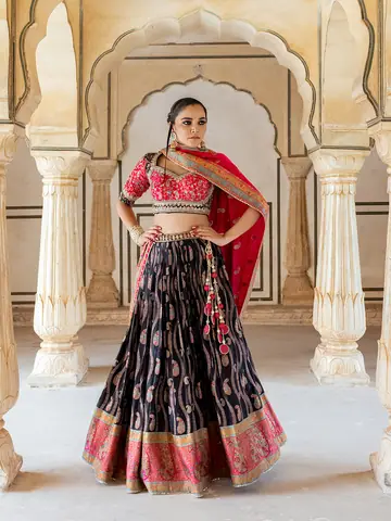 Lehenga, Campaign Shoot photography by CPH Studio, photograph 9